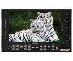 bon video assist monitor daglicht